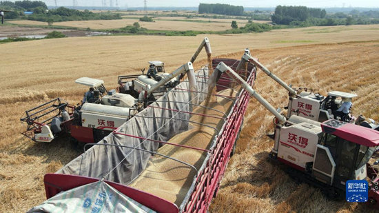 111427-101752.jpg a5973af3-fdd4-4cc4-9660-17e7ff0437cd.jpg