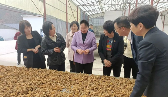 081754-966364.jpg 640.jpg