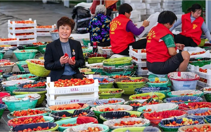 091845-637558.jpg 091845-637558.jpg