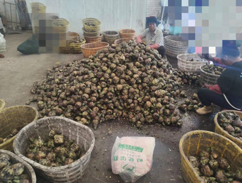 091539-921353.png 091539-921353.png