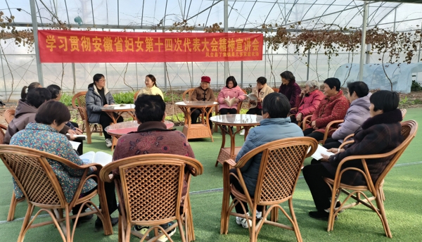 084914-803317.jpg 2_愛(ài)奇藝.jpg