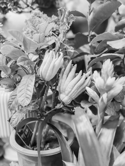 083409-781241.jpg 6.jpg