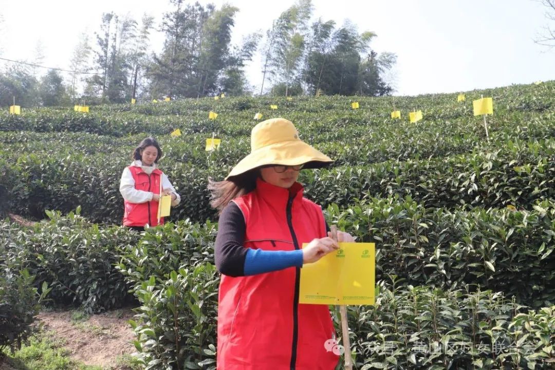 075235-761232.jpg 075235-761232.jpg