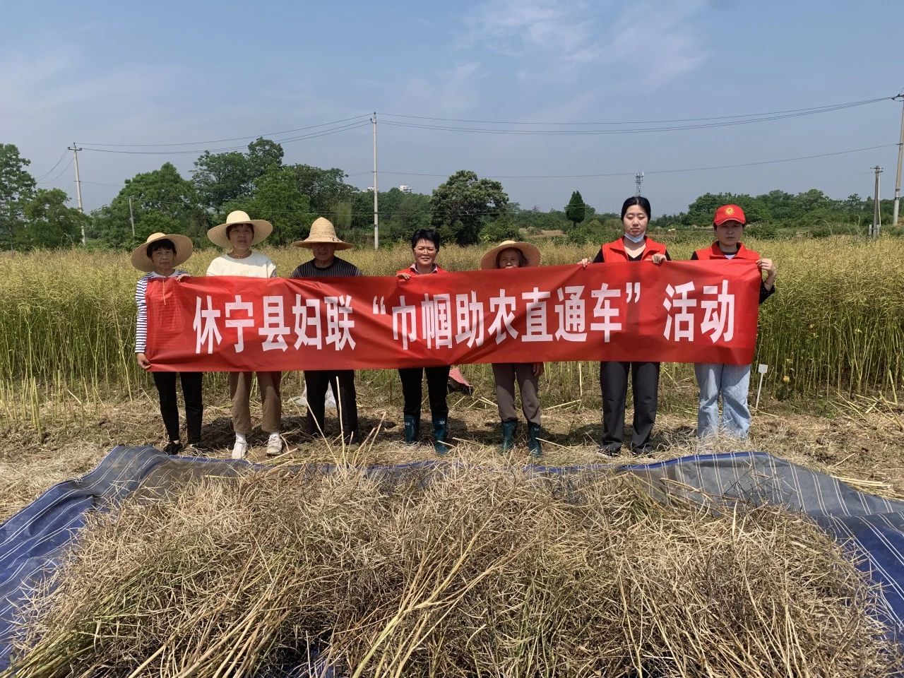 084125-966751.jpg 084125-966751.jpg