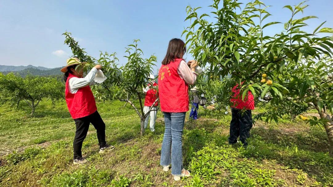 080236-496328.jpg 080236-496328.jpg