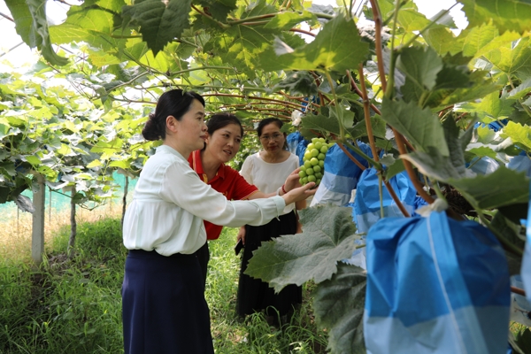 083541-140094.jpg 4_愛(ài)奇藝.jpg