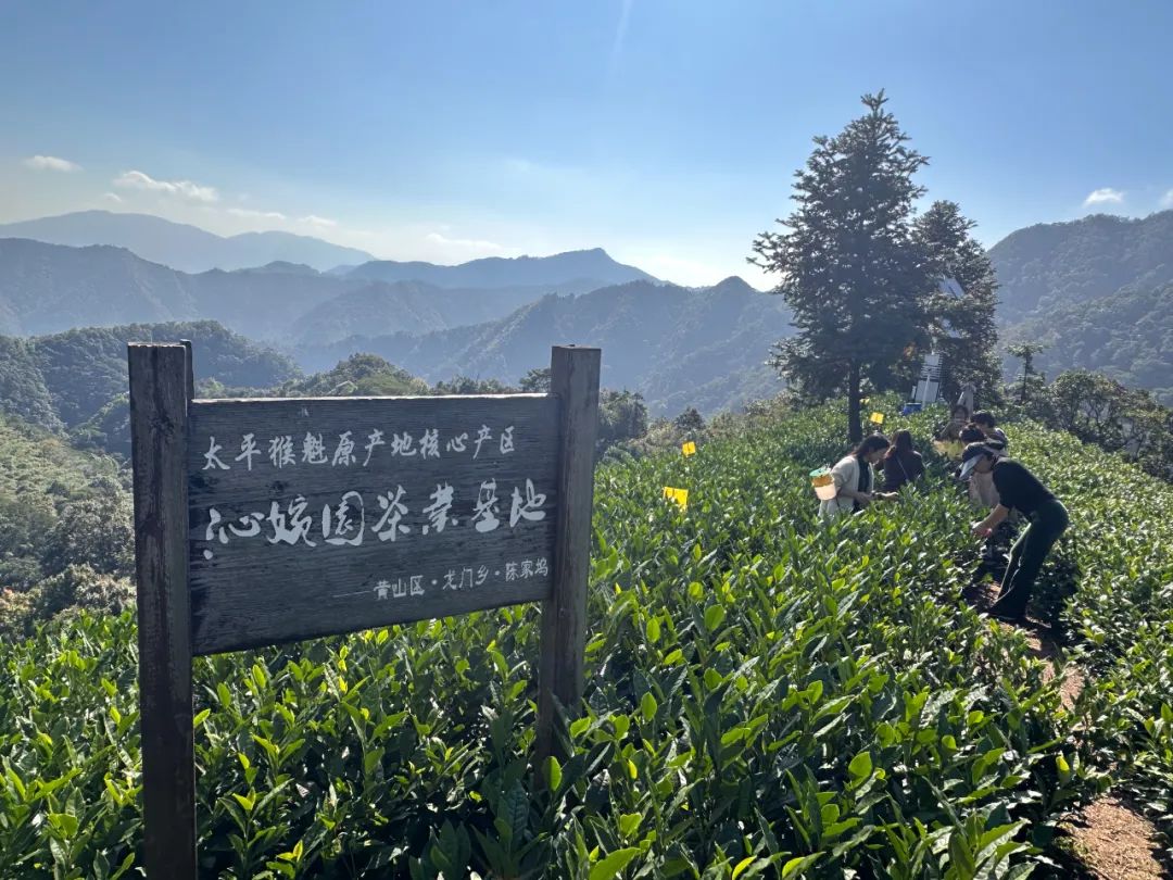 222827-107347.jpg 222827-107347.jpg