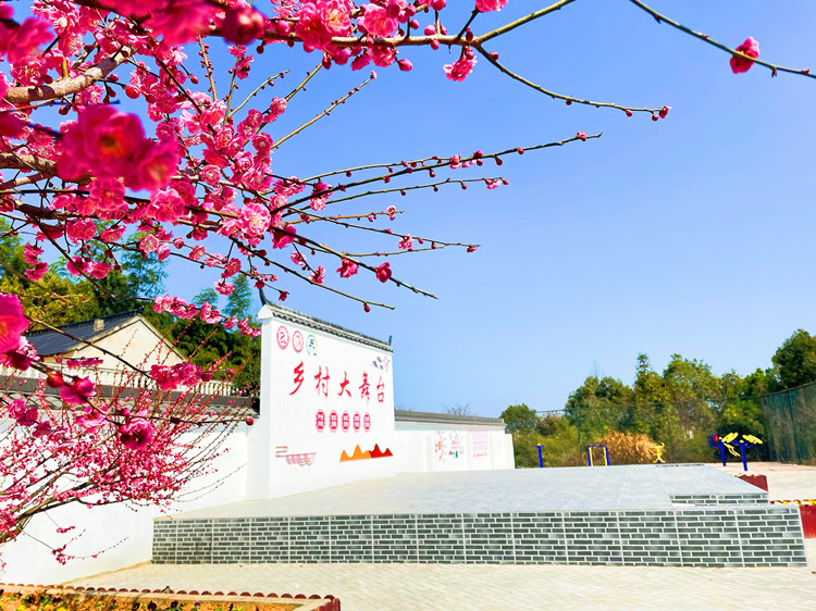 145904-269120.png 145904-269120.png