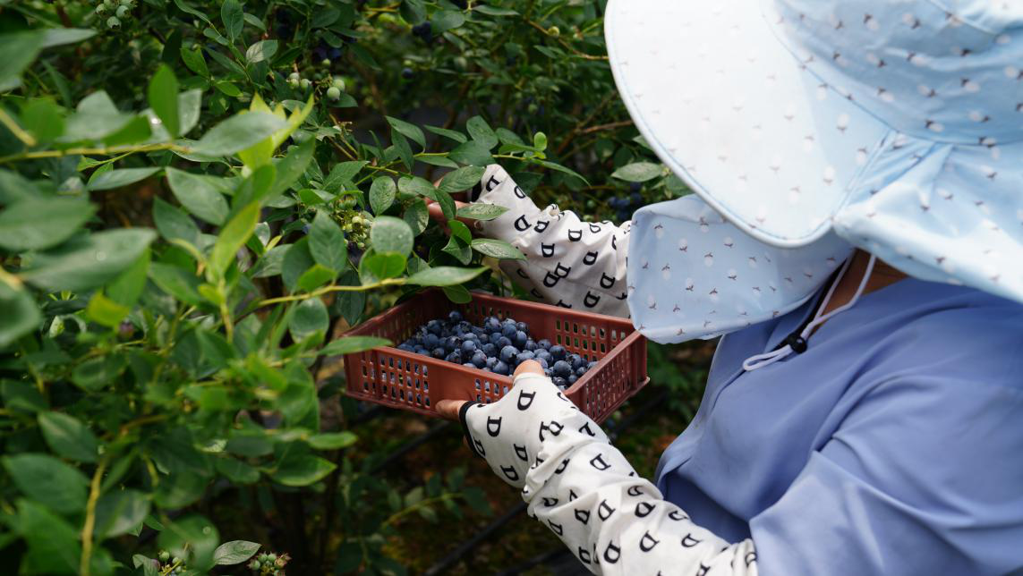 150136-189899.png 150136-189899.png