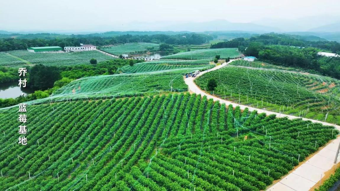 150137-143080.png 150137-143080.png