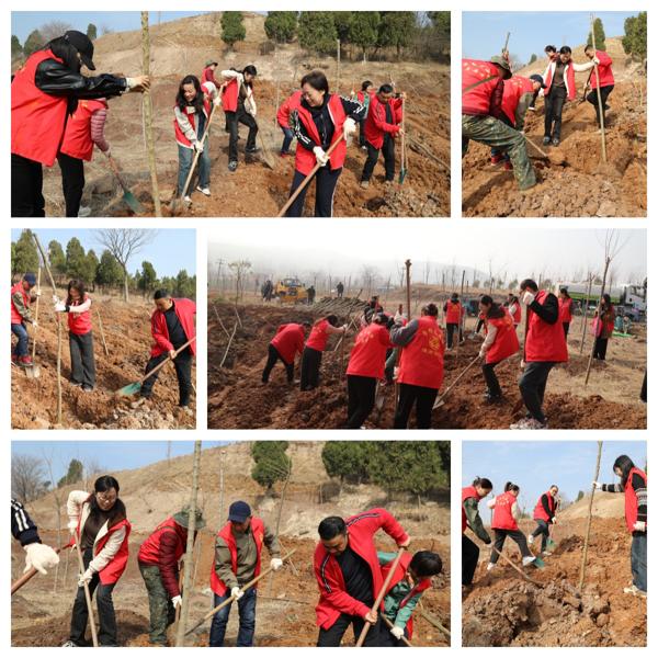 201017-335647.jpg 微信圖片_20250311164824_愛(ài)奇藝.jpg