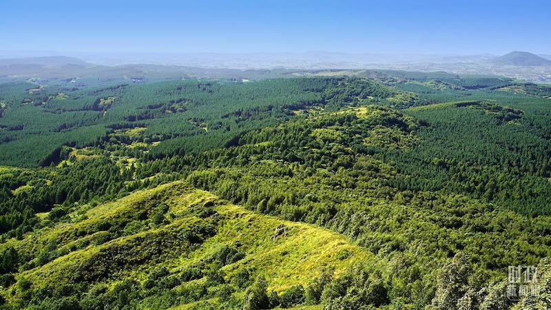 102017-433820.jpg W020251024334802809049.jpg